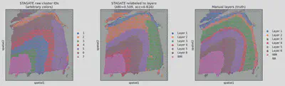 Spatial domains on DLPFC slice 151676: raw clusters, layer-matched clusters, and the manual ground-truth annotation.